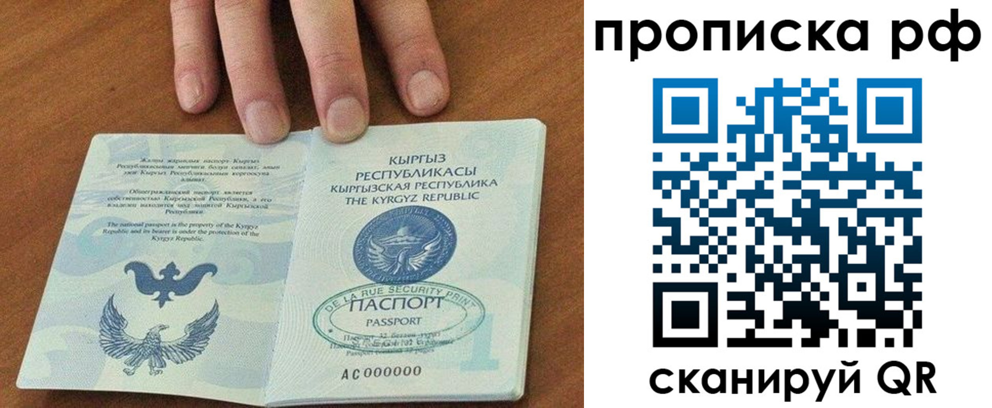 временная регистрация недорого в Ясном